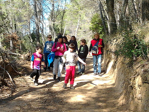 Estades per a Entitats i Associacions