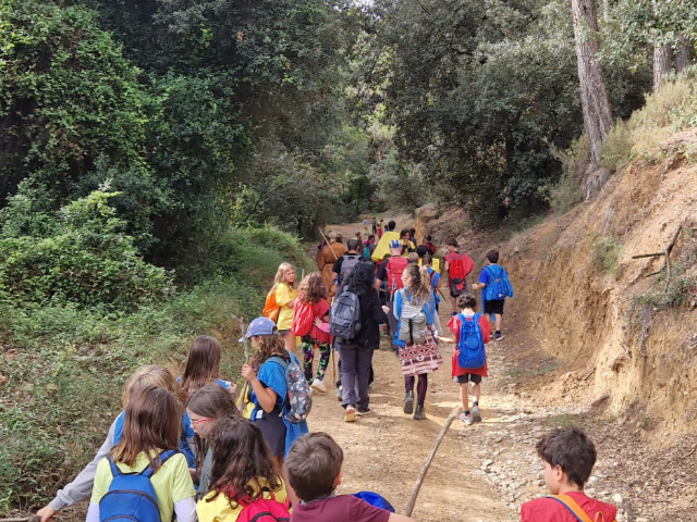 Excursiones